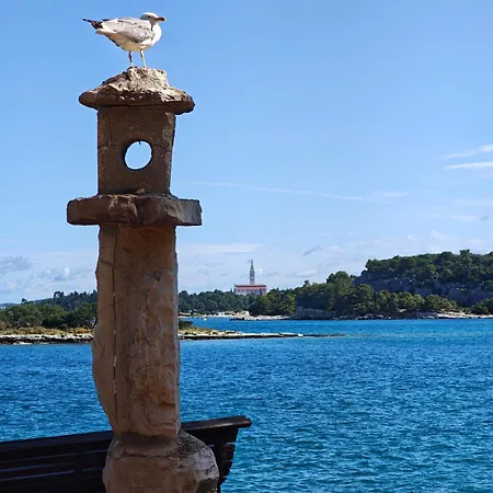 With Private Pool Near Rovinj Vila *